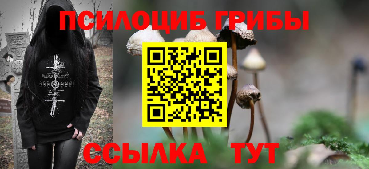 Галлюциногенные грибы GOLDEN TEACHER Железноводск